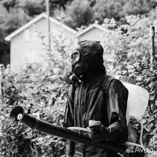 Уничтожение клопов травля тараканов