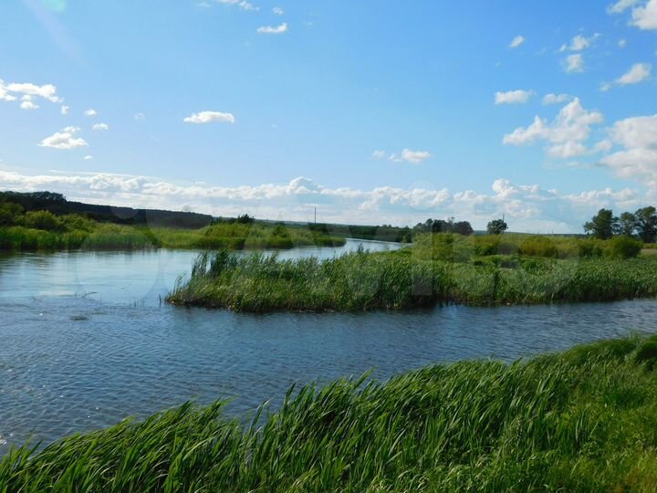 Участок 11,8 сот. (ИЖС)