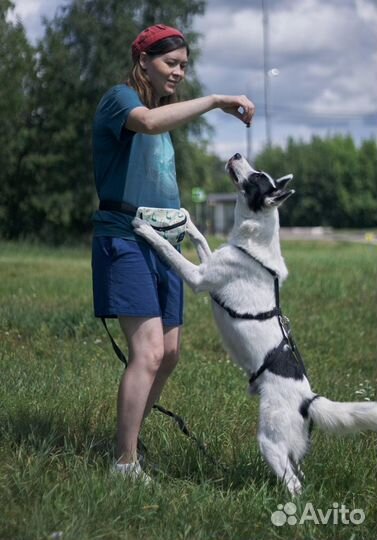 Я так люблю жизнь, но сижу в клетке