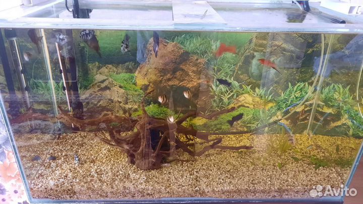 Аквариум с тумбой 180 литров