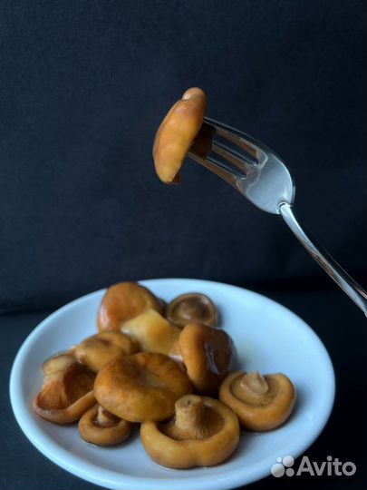 Рыжики грибы