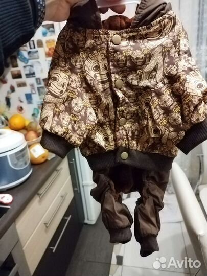 Комбинезон для собаки, размер 30 см