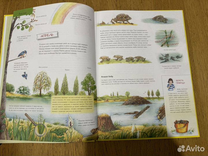 Сюзанна Риха книга 