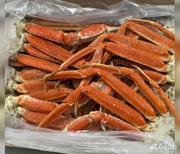 Конечности краба стригуна