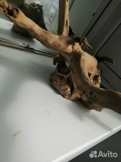 Коряги для террариума