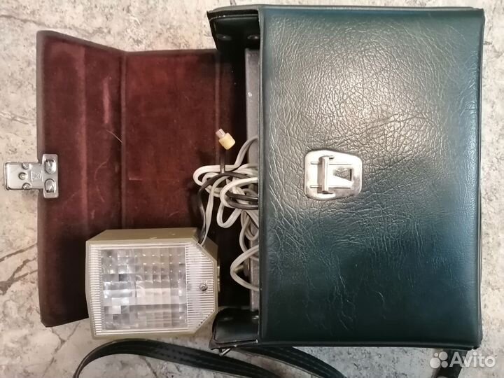 Фотовспышка чайка