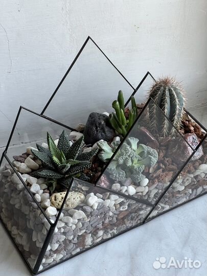 Флорариум, моссариум, бонсай,мох стабилизированный