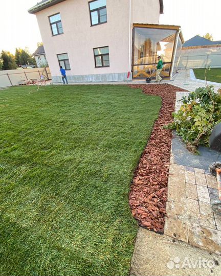 Рулонный газон / под ключ