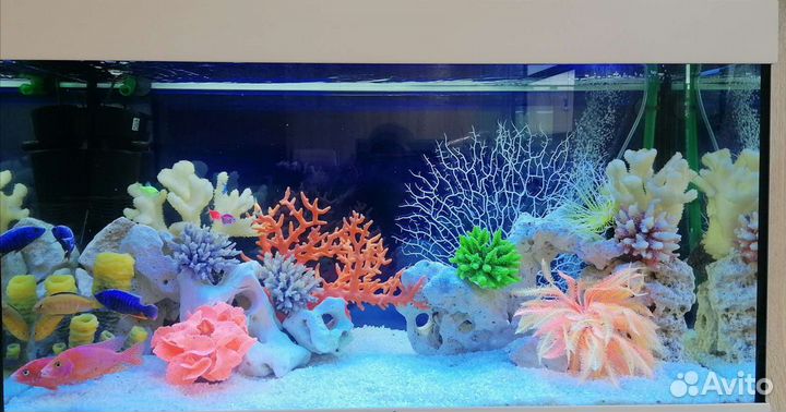 Обслуживание аквариума