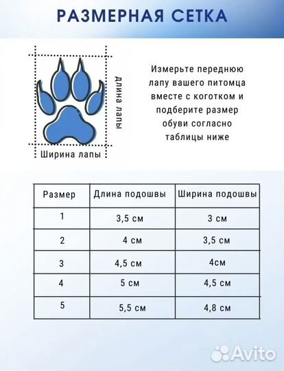 Ботинки для собак