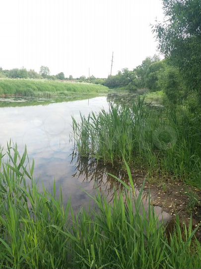 Дом 50 м² на участке 70 сот.