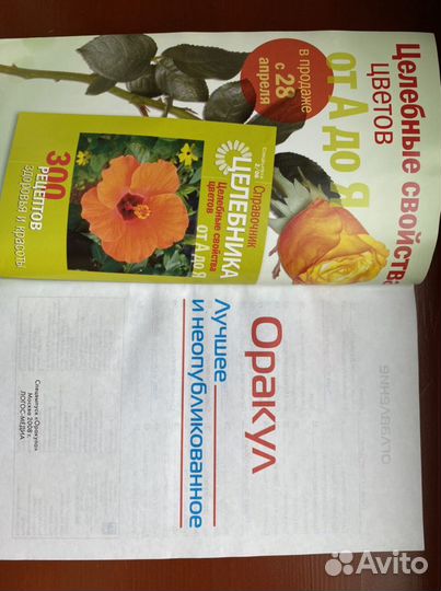 Спецвыпуски журнала Оракул, Книга Поделки для сада