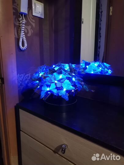 Бабочки в коробке