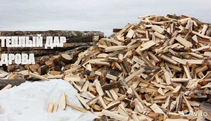 Дрова сухие осиновые