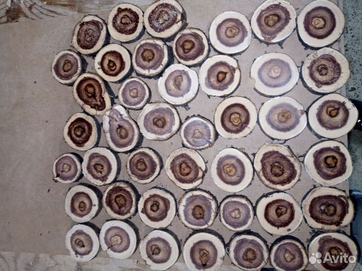 Спилы дерева