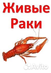 Живые раки Опт/розница