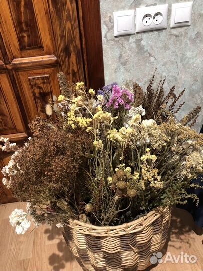 Сухие цветы