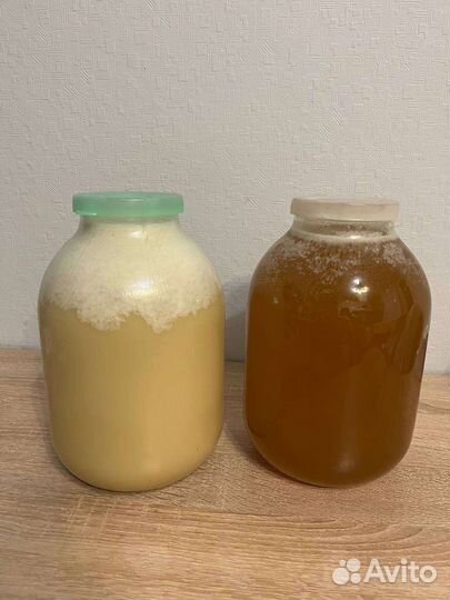 Мед Орловской губернии