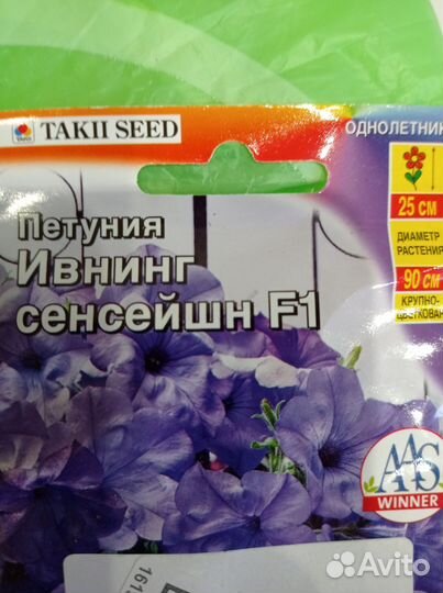 Петунии остатки