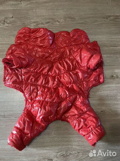 Зимний комбинезон для маленькой собачки