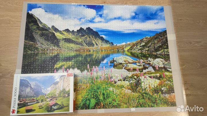 Пазлы 3000 деталей