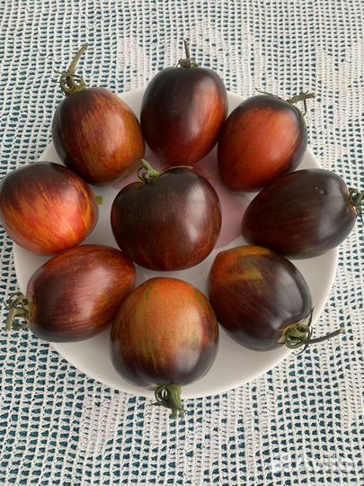 Семена помидоров,семена сортовых томатов