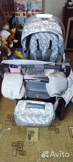 Коляска 2 в 1 Adamex