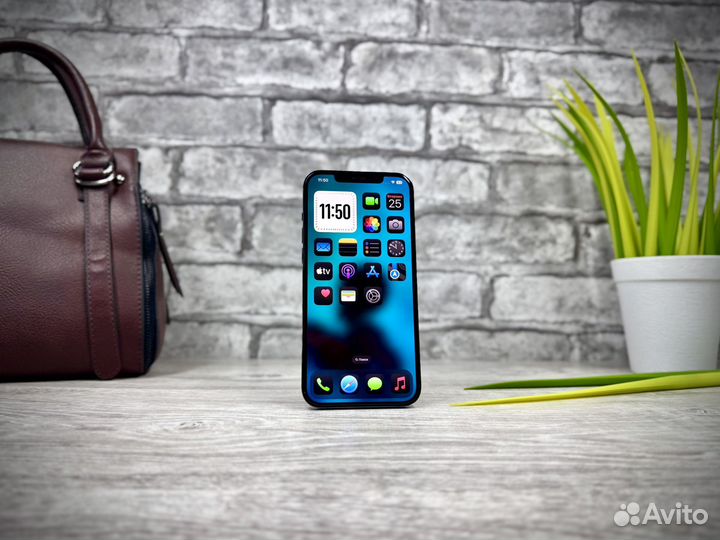 iPhone 12 Pro Max, 256 ГБ