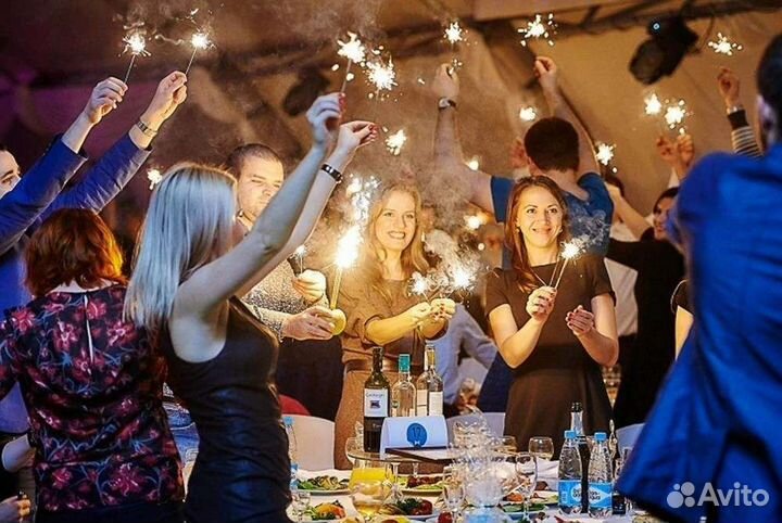 Ведущий, диджей, фото, видео, караоке