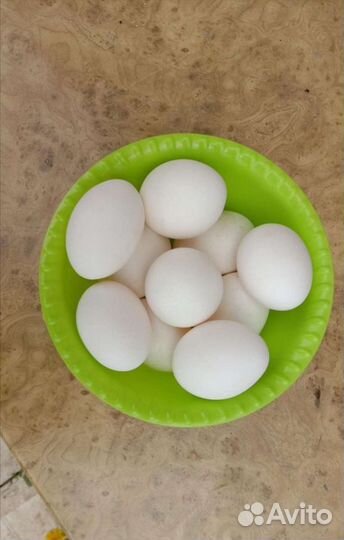 Домашние куриные яйца