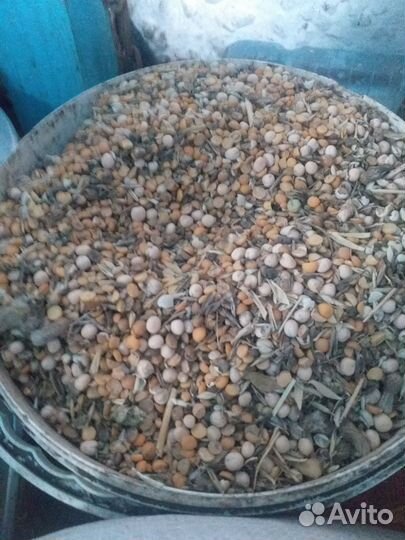 Горох кормовой(зерносмесь)