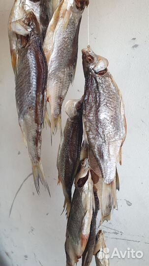 Вкусная таранка