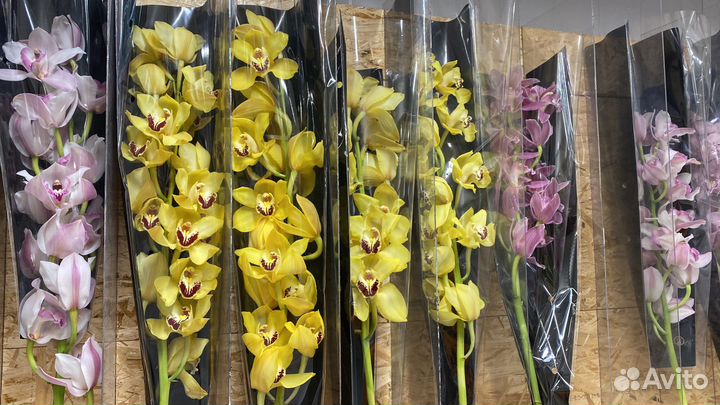 Цветы букеты оптом и в розницу