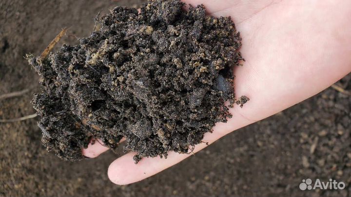 Торфогрунт