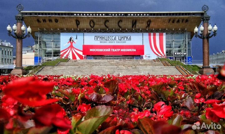 Билеты в московский театр мюзикла