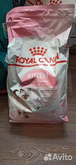 Корм для кошек