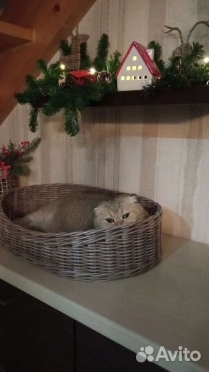 Лежанка для животных