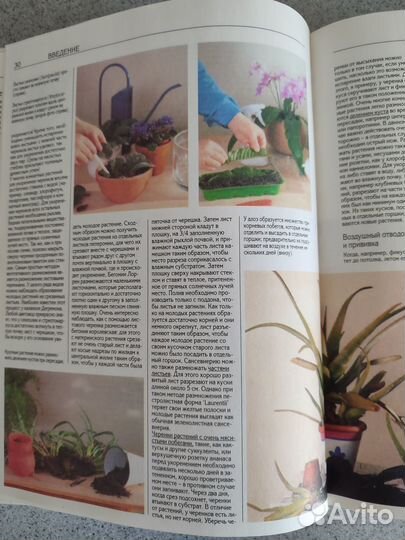 Книга Всë о комнатных растениях. Изд. Астрель