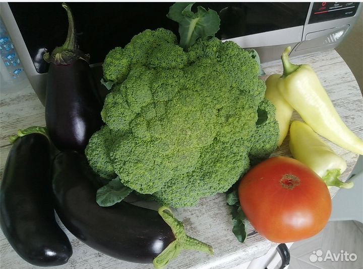 Рассада Капусты брокколи, цветная