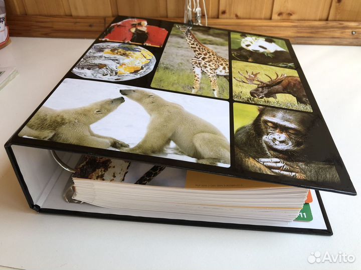 Книги о животных