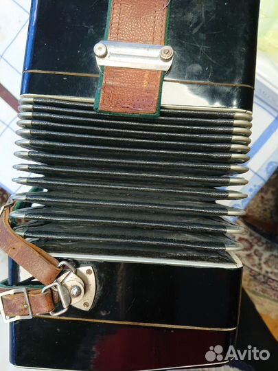 Баян тульский