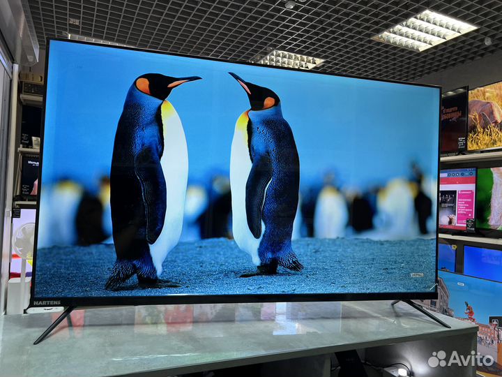 Новый телевизор 50