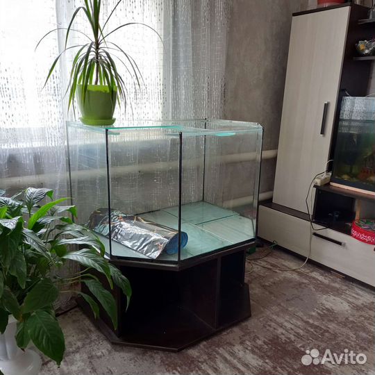 Аквариум с тумбой 200 литров