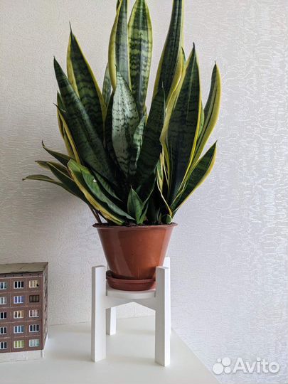 Подставка под горшок/кашпо из дерева