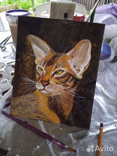 Абиссинский кот. Картина акрилом