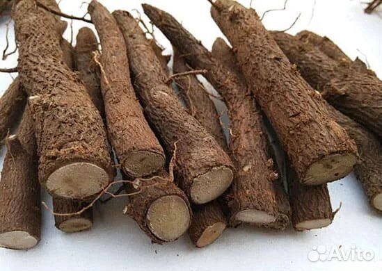 Черенки Павловнии крымской 5-ти сортов