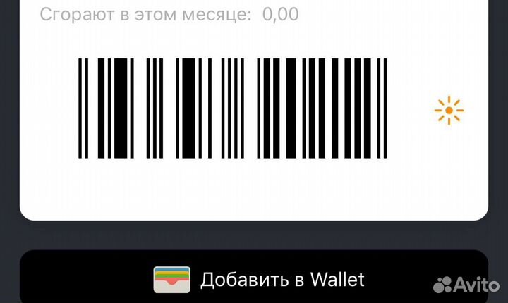 Карта мой глобус