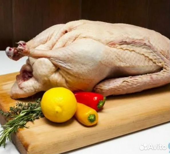 Тушки гусей