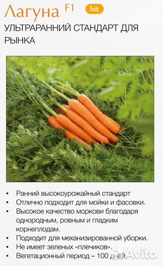 Семена Морковь Лагуна