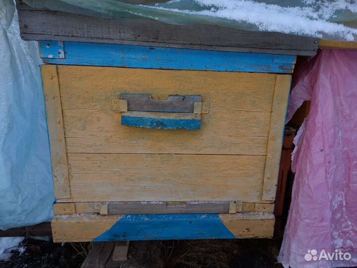 Ульи и пчеловодческий инвентарь